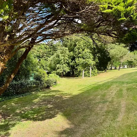 Terrasse, Piscine, Parking Confort Appartement *